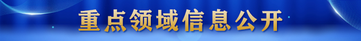 2022年政务公开工作要点